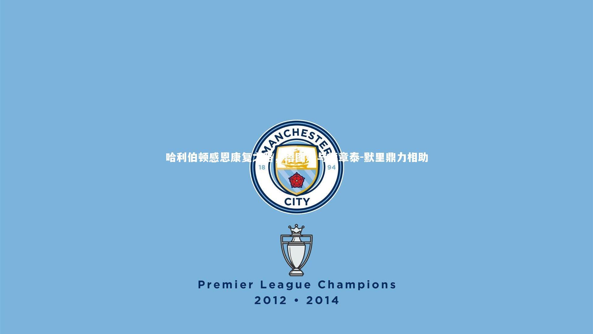 哈利伯顿感恩康复之路,塔图姆与德章泰-默里鼎力相助